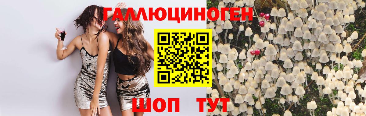 Галлюциногенные грибы Psilocybine cubensis  Вход с VPN  Бузулук 